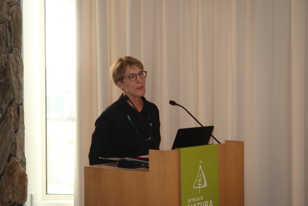 Anna Stefánsdóttir