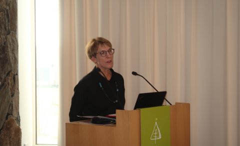 Anna Stefánsdóttir